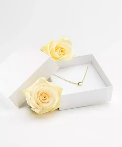 Heart Halsband