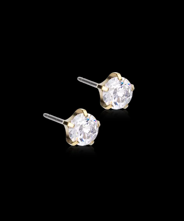 Tiffany Precious Örhänge 6 mm