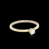 Tiffany Precious Ring