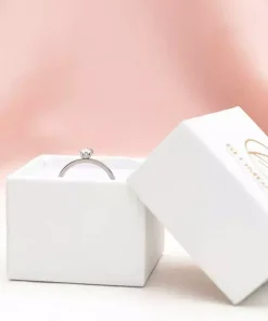 Tiffany Precious Ring